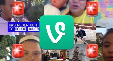 The best Vine videos and compilations of all time .